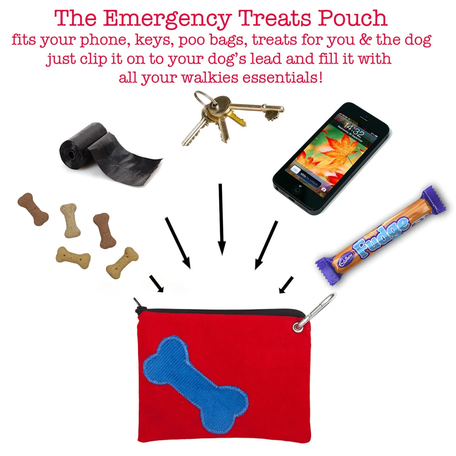 Blue Bone On Red Treats Pouch