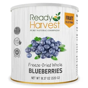 Blueberries Freeze Dried