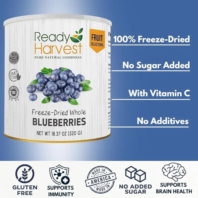 Blueberries Freeze Dried