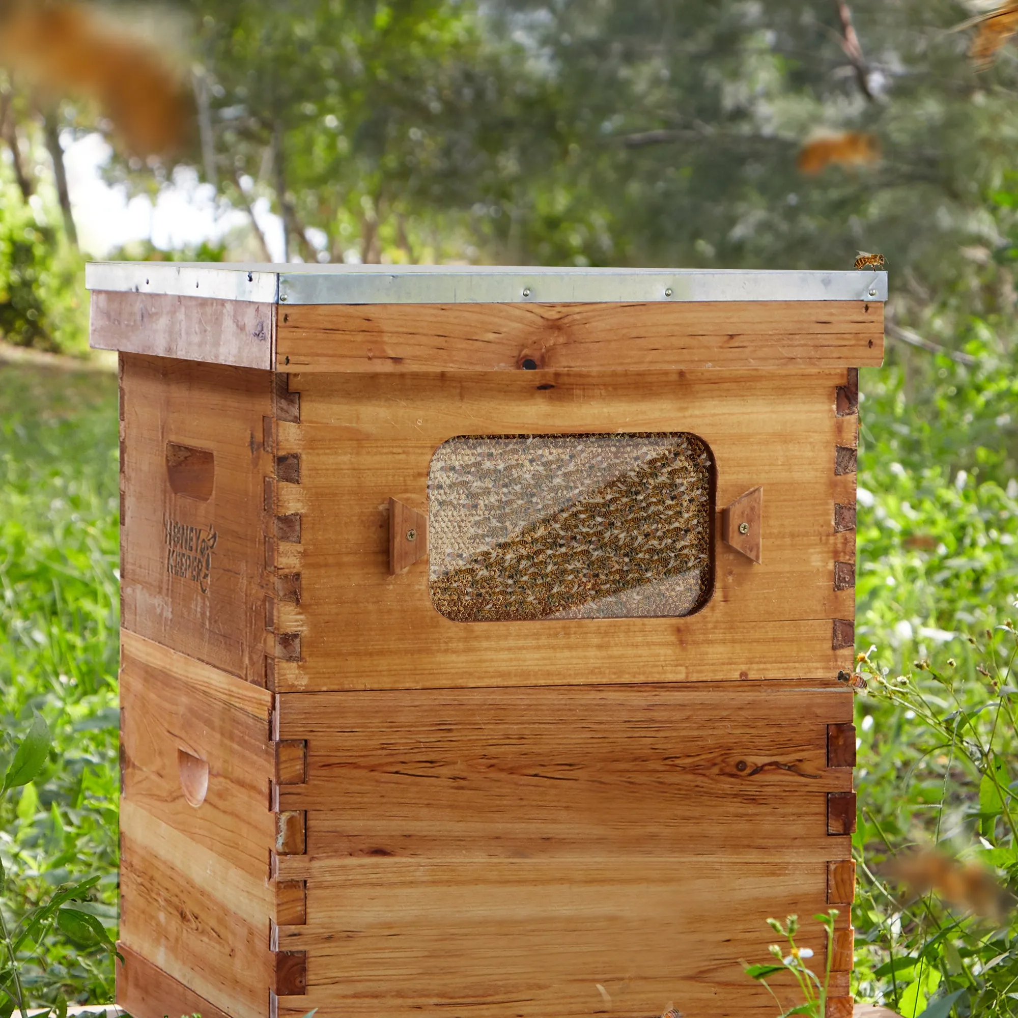 Brood Box with Window, 100% Beeswax Coated Beehive Kit