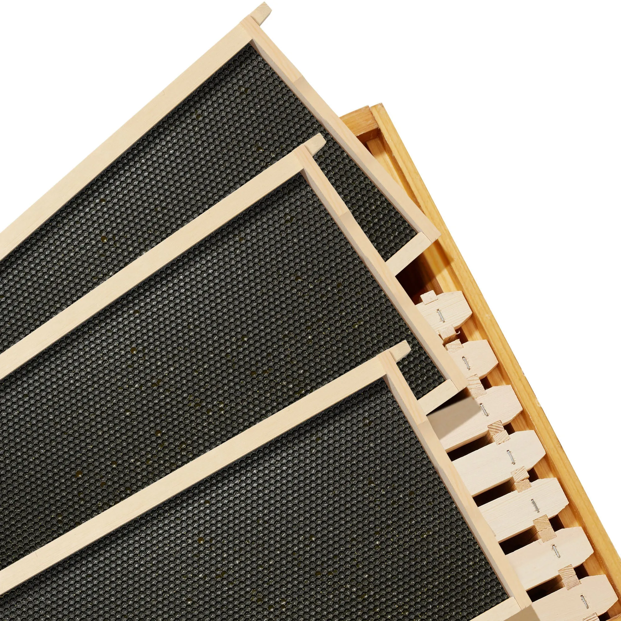 Brood Box with Window, 100% Beeswax Coated Beehive Kit