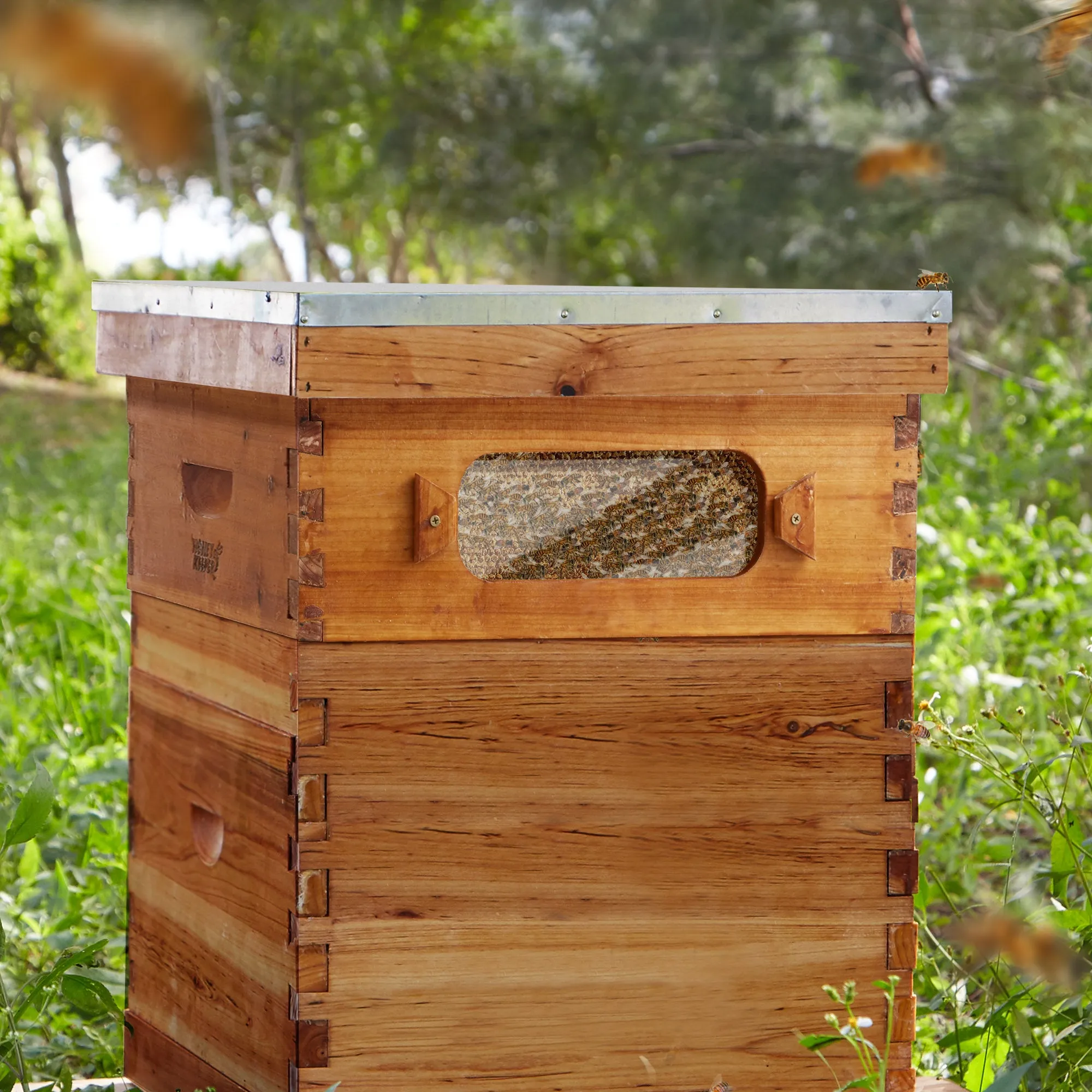 Brood Box with Window, 100% Beeswax Coated Beehive Kit