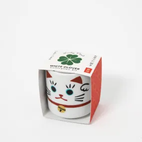 Lucky Plant Cat - White Clover Growing Kit