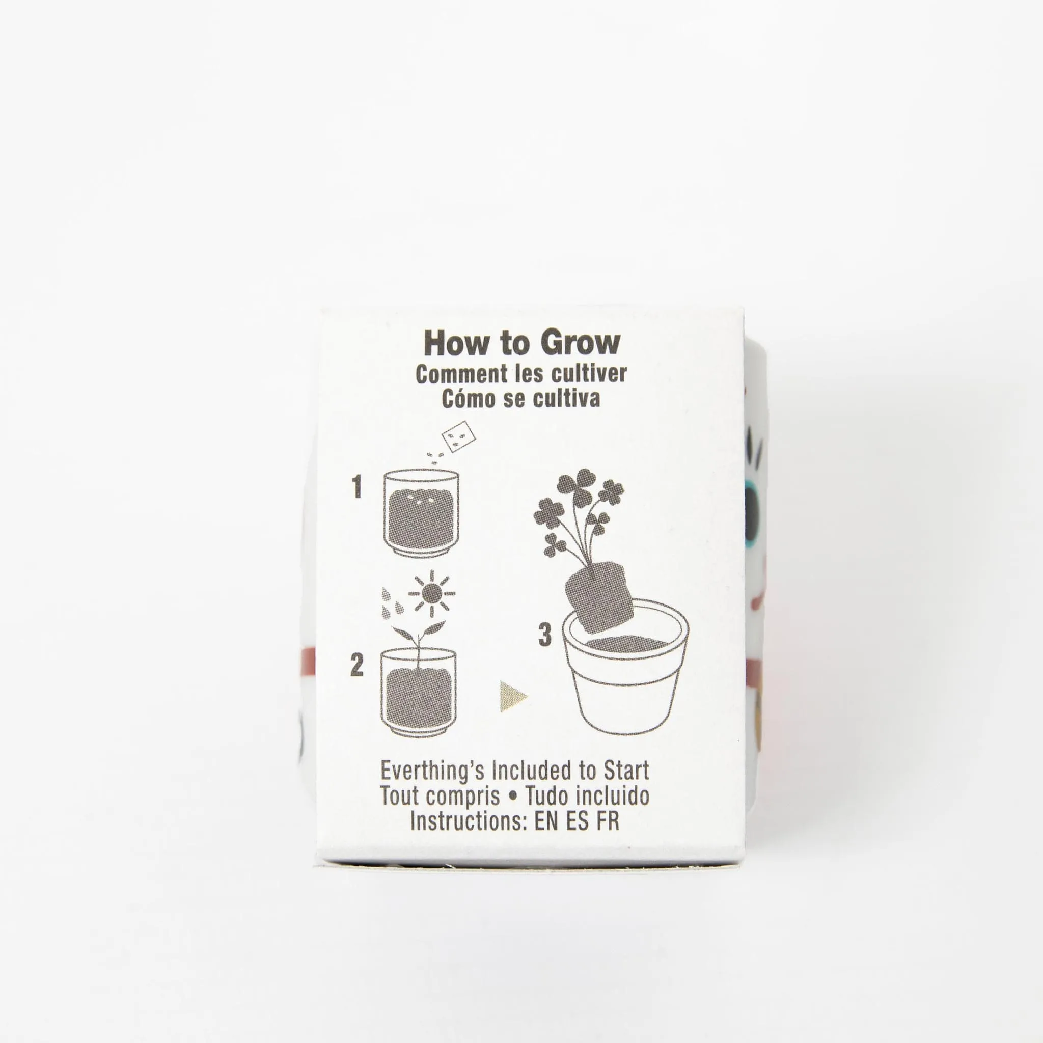 Lucky Plant Cat - White Clover Growing Kit