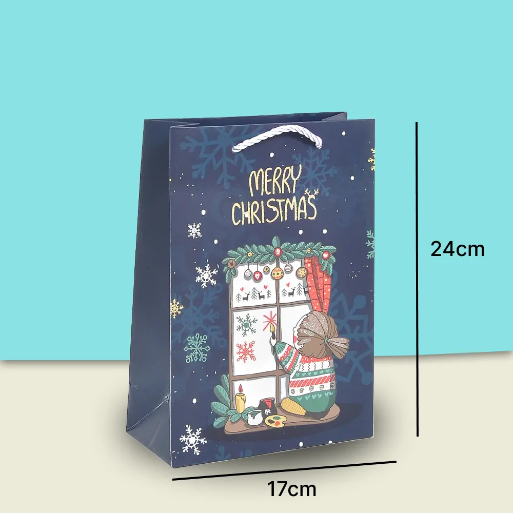 Merry Christmas  stylish paper-bag for gifting