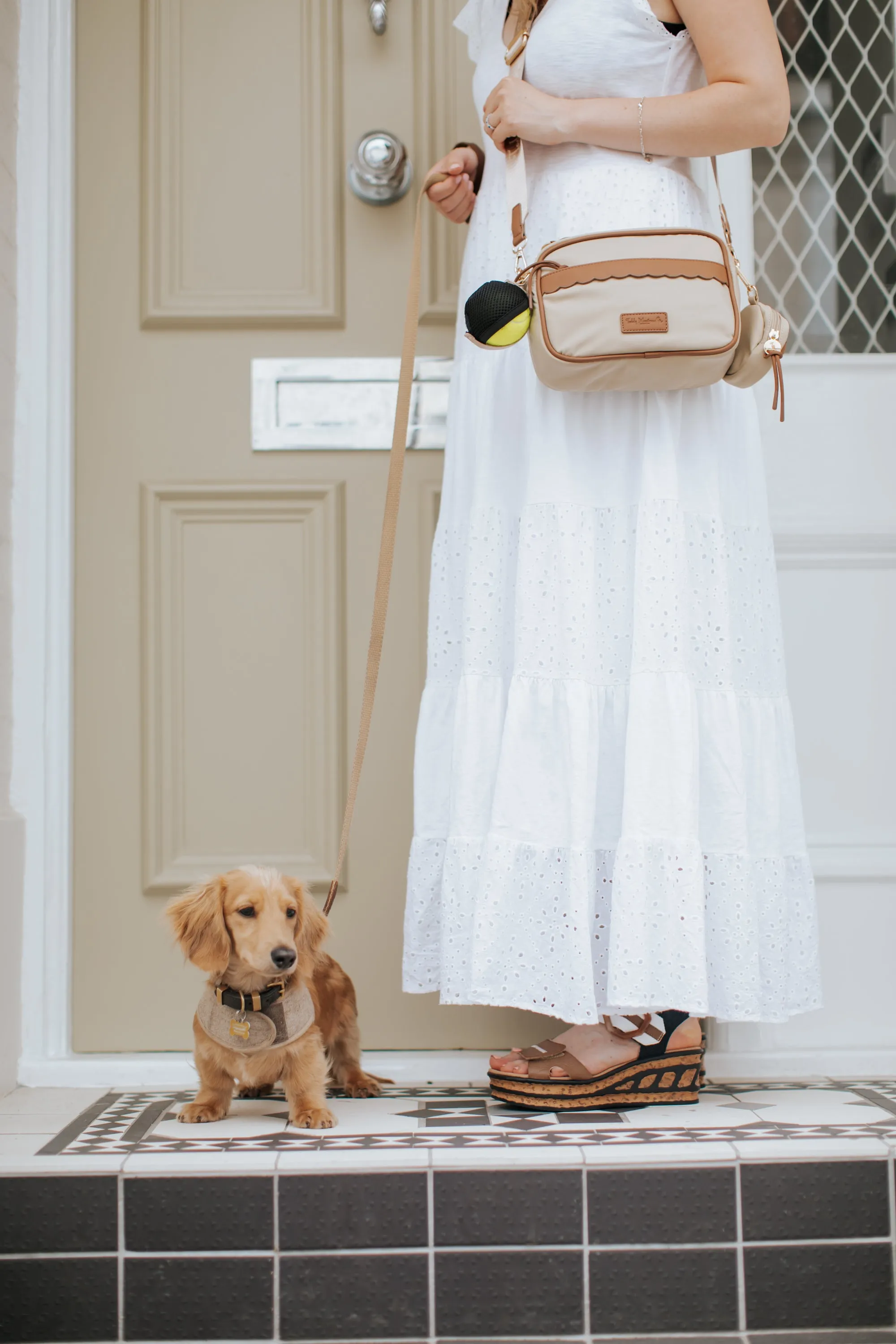 NEW! 'The Richmond' Taupe Luxury Dog Walking Bag