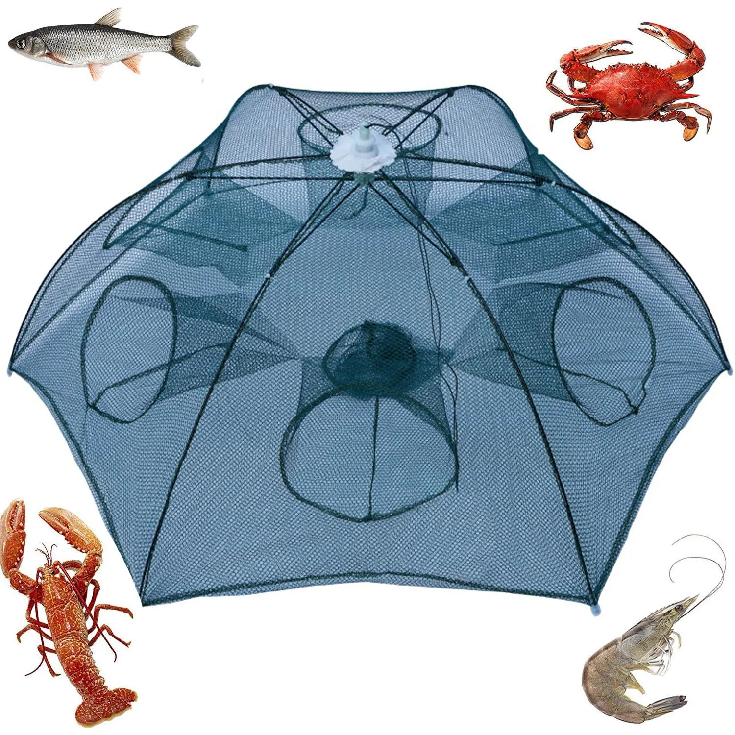 Noa Store Fishing Bait Trap | Fishing Net Trap Foldable Fish Minnow Carb Crayfish Crawdad