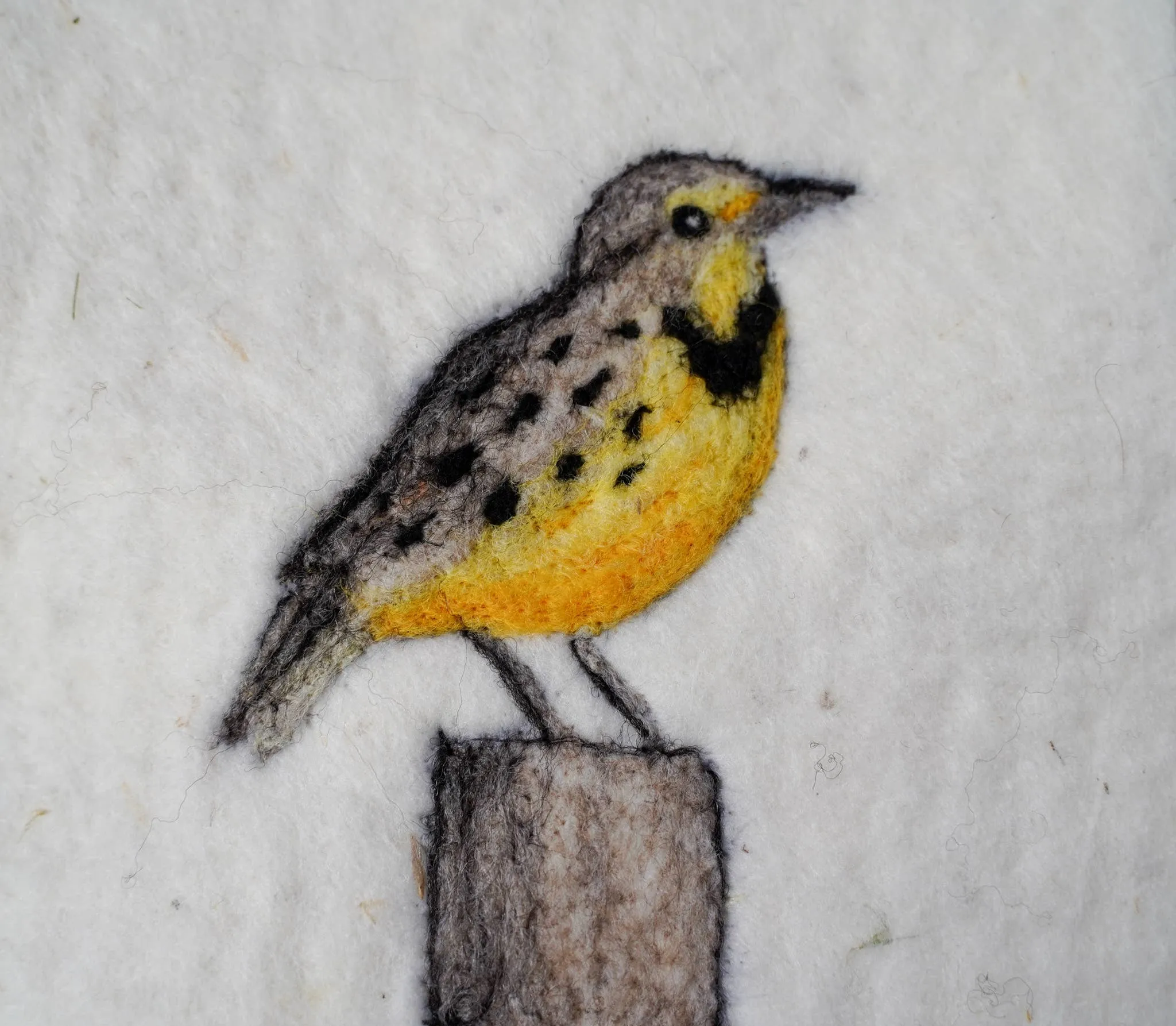 Shepherd Industries - Meadowlark Painting with Wool Needle Felting Kit