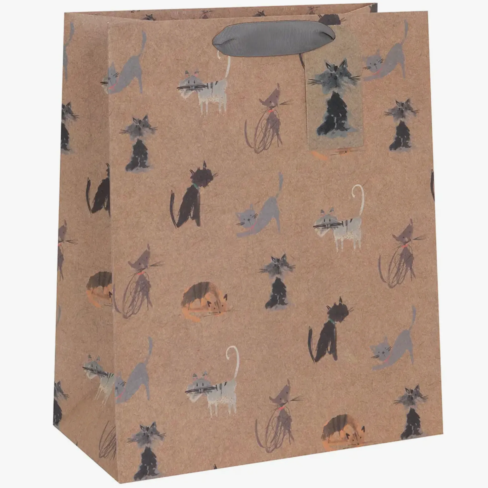 Sketchy Cats Large Gift Bag